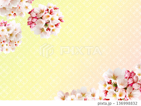 桜の花の背景 136998832