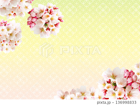 桜の花の背景 136998833