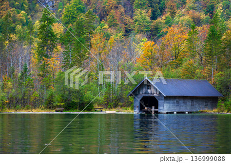 ドイツ 落ち葉 落葉 136999088