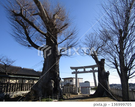 茨城県の常陸太田にある若宮八幡宮 136999705