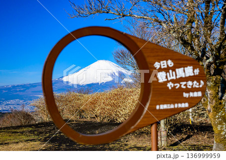 矢倉岳山頂 136999959