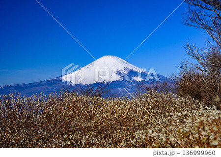 矢倉岳山頂からの富士山 矢倉岳山頂からの富士山 136999960