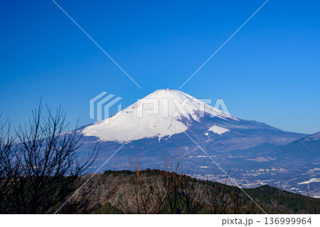 矢倉岳山頂からの富士山 矢倉岳山頂からの富士山 136999964