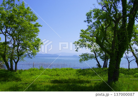 滋賀県 新緑と青空が広がる湖畔の草原風景 滋賀県 新緑と青空が広がる湖畔の草原風景 137000087
