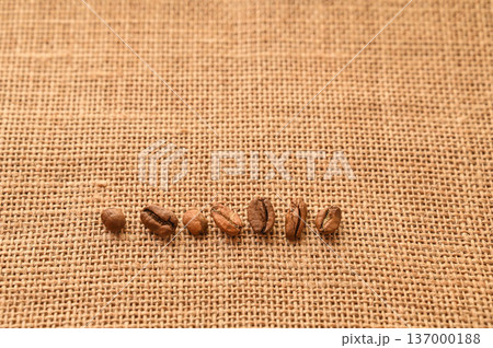 コーヒー 取り除いた取り除いた欠点豆 コーヒー 取り除いた取り除いた欠点豆 137000188