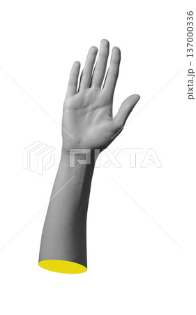 Open palm raised upward isolated background. Human hand showing five fingers vertical gesture. Communication sign and greeting concept.. 137000336