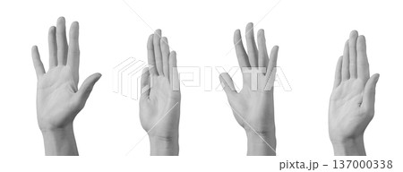 Open palms left right isolated background. Greeting waving gesture showing five fingers friendly signal. Communication concept, welcome interaction idea.. 137000338