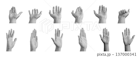 Open palms waving greeting holding isolated background. Hands offering handshake display gesture set. Communication welcome interaction concept.. 137000341