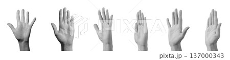 Open palms waving greeting isolated background. Five fingers gesture welcome signal. Friendly communication interaction concept.. 137000343