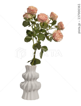 Rosa multiflora bouquet in ceramic vase isolated background. Peach spray roses minimal interior composition. Spring floral decor concept.. Rosa multiflora bouquet in ceramic vase isolated background. Peach spray roses minimal interior composition. Spring floral decor concept.. 137000361
