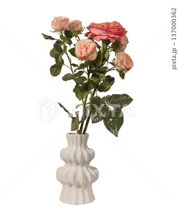 Rosa multiflora bouquet in sculptural ceramic vase isolated background. Peach spray roses minimal interior styling composition. Spring floral decor concept.. 137000362
