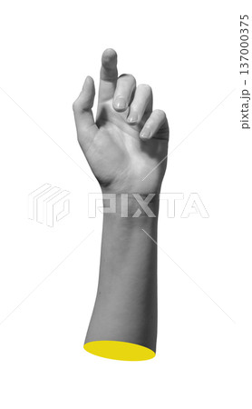 Single hand lifted with bent fingers isolated on white background. Human arm creates vertical gesture pose. Expression, communication, attention concept.. 137000375