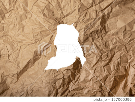 Torn hole in brown kraft paper texture background. Irregular ripped shape with white copy space. Collage mockup concept.. 137000396