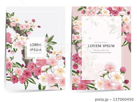 Vector Illustration Template Set of Plum blossoms in full bloom on branches 137000450