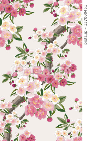 Plum blossoms in full bloom on branches. Vector illustration of a seamless pattern 137000451