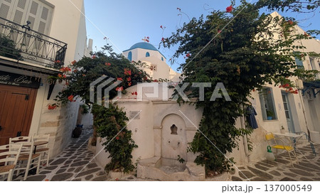 A blue dome white church covered by green bougainvillea leaves A blue dome white church covered by green bougainvillea leaves 137000549