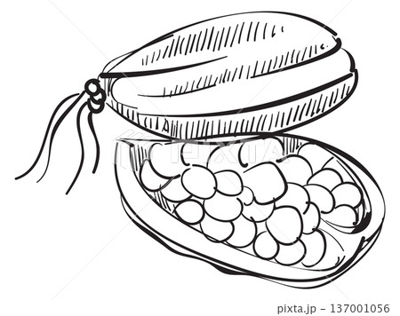 Cardamom pod hand drawn icon. Exotic ayurveda seed symbol Cardamom pod hand drawn icon. Exotic ayurveda seed symbol 137001056