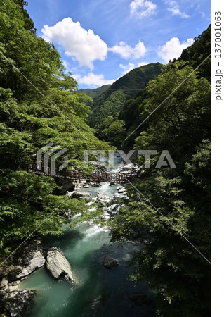 祖谷のかずら橋 137001063