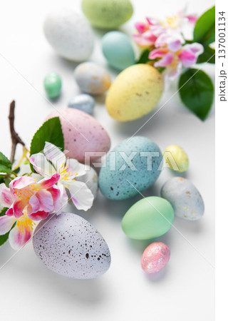 Pastel easter eggs with spring blossoms celebrating holiday season Pastel easter eggs with spring blossoms celebrating holiday season 137001134