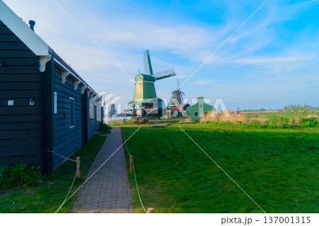 skyline of old town Zaanse Schans 137001315