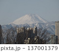 2026年2月9日 大田区山王から望む富士山と丹沢山系の山並み 137001379