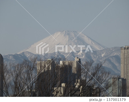 2026年2月9日 大田区山王から望む富士山と丹沢山系の山並み 2026年2月9日 大田区山王から望む富士山と丹沢山系の山並み 137001379