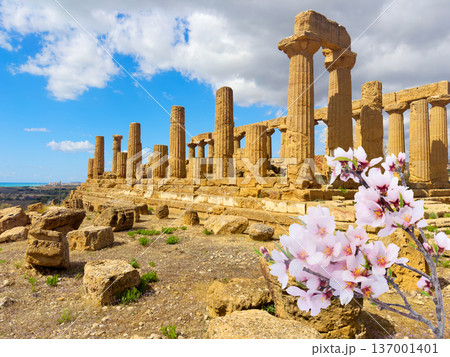 Agrigento site with ancient greek ruins, Sicily 137001401