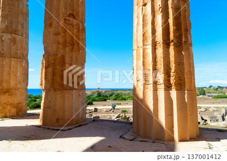 Selinunte site with ancient greek ruins, Sicily Selinunte site with ancient greek ruins, Sicily 137001412