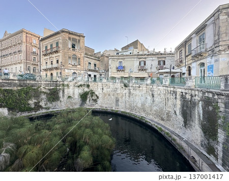 Syracuse old town, Sicily Italy Syracuse old town, Sicily Italy 137001417