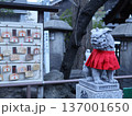 神社にある狛犬 137001650