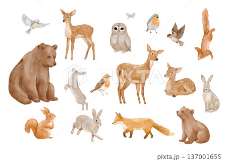 Watercolour woodland animals set featuring cute forest deer, bear, squirrel, and fox. Adorable wildlife illustration Watercolour woodland animals set featuring cute forest deer, bear, squirrel, and fox. Adorable wildlife illustration 137001655