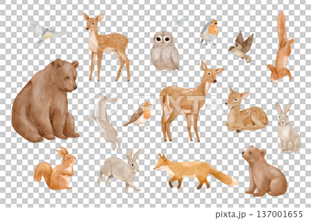 Watercolour woodland animals set featuring cute forest deer, bear, squirrel, and fox. Adorable wildlife illustration Watercolour woodland animals set featuring cute forest deer, bear, squirrel, and fox. Adorable wildlife illustration 137001655