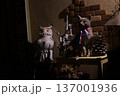 夜の庭を飾るフクロウとネコのガーデンオブジェと多肉植物 137001936