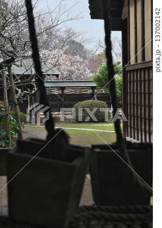 古民家と梅の花 古民家と梅の花 137002142