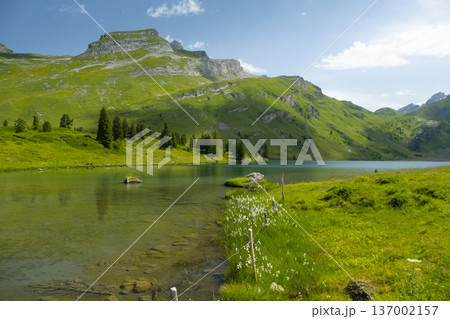 Discover the beauty of Engstlensee Lake in Switzerland. Clear waters reflect surrounding mountains and greenery, showcasing a serene natural landscape. Travel destination and popular trail. 137002157