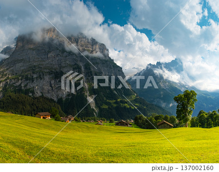 Majestic mountains rise in the background as quaint wooden cabins dot green landscape. A winding path guides a visitor through this serene Swiss alps. Grindelwald Jungfrau Bernese alps Switzerland. 137002160
