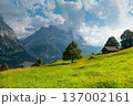 Majestic mountains rise in the background as quaint wooden cabins dot green landscape. A winding path guides a visitor through this serene Swiss alps. Grindelwald Jungfrau Bernese alps Switzerland. 137002161