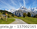 A winding trail leads through the green meadows of the Lauterbrunnen Swiss Alps, flanked by towering snow-capped mountains and vibrant forests under a bright blue sky. 137002165