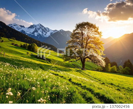 beautiful mountain landscape with morning mist 137002456