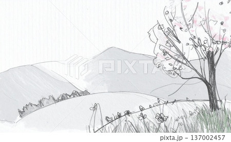 tree branch on mountain tree branch on mountain 137002457