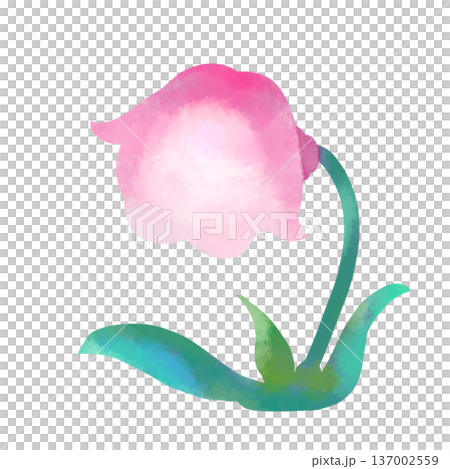 Watercolor pink flower lamp Watercolor pink flower lamp 137002559