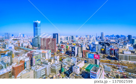 日本の東京都市景観　新宿の歌舞伎町や東急歌舞伎町タワー、電車、池袋、大手町、丸の内（右奥）などを望む 137002599