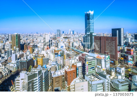 日本の東京都市景観新風景。新宿歌舞伎町や東急歌舞伎町タワー、電車、池袋などを望む 日本の東京都市景観新風景。新宿歌舞伎町や東急歌舞伎町タワー、電車、池袋などを望む 137003075