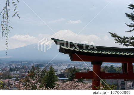 鳥居越しに望む富士山と街並み(山梨県・河口湖周辺) 鳥居越しに望む富士山と街並み(山梨県・河口湖周辺) 137003093