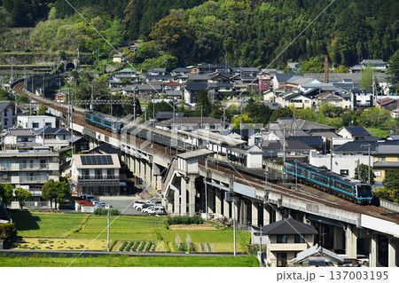 JR特急「宇和海」 2000系気動車 JR特急「宇和海」 2000系気動車 137003195