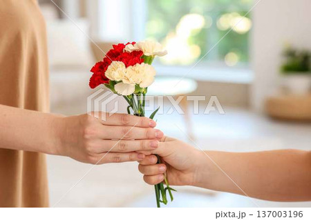 赤と白いカーネーションの小さな花束を女性の手に渡す子供。母の日のお祝い。感謝の気持ち。 赤と白いカーネーションの小さな花束を女性の手に渡す子供。母の日のお祝い。感謝の気持ち。 137003196