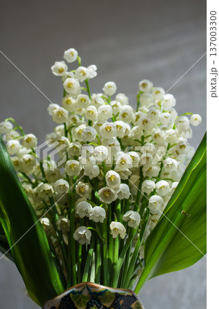 Convallaria majalis bouquet in ornate ceramic vase. Window light with shadow patterns. Fresh spring flowers indoors.  137003300