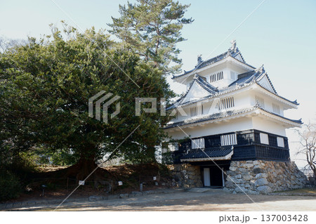 愛知県豊橋市　吉田城鉄櫓とイスノキ 137003428