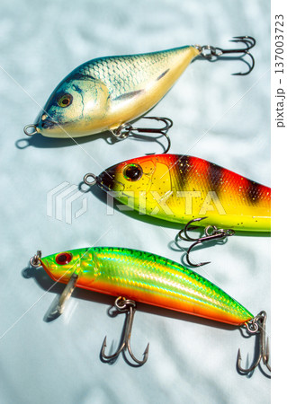 Special different colorful fishing tackles. Preparing for fishing Special different colorful fishing tackles. Preparing for fishing 137003723