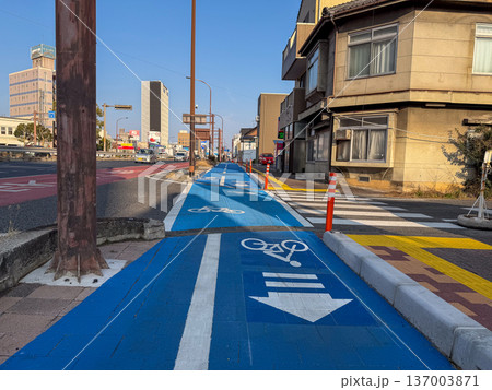 自転車専用レーンがある風景 自転車専用レーンがある風景 137003871